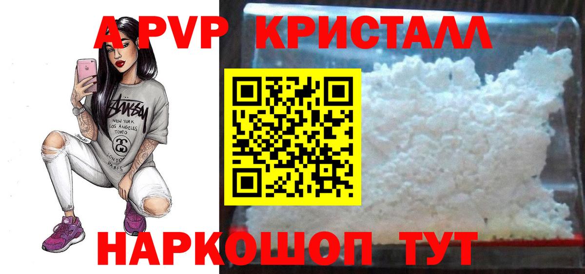 A PVP СК КРИС Апшеронск