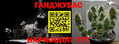спиды Сочи
