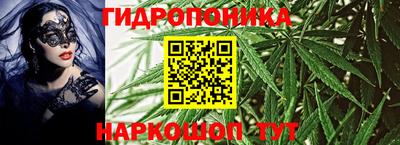 спиды Сочи