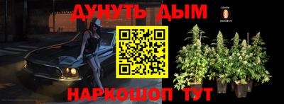 спиды Сочи