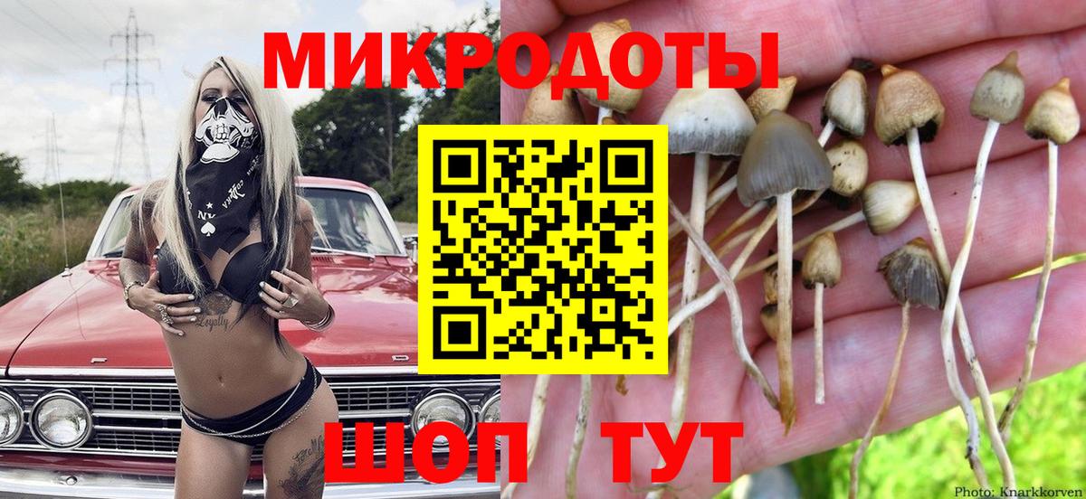 Галлюциногенные грибы мицелий  Галлюциногенные грибы прущие грибы  Апшеронск  Вход с VPN 